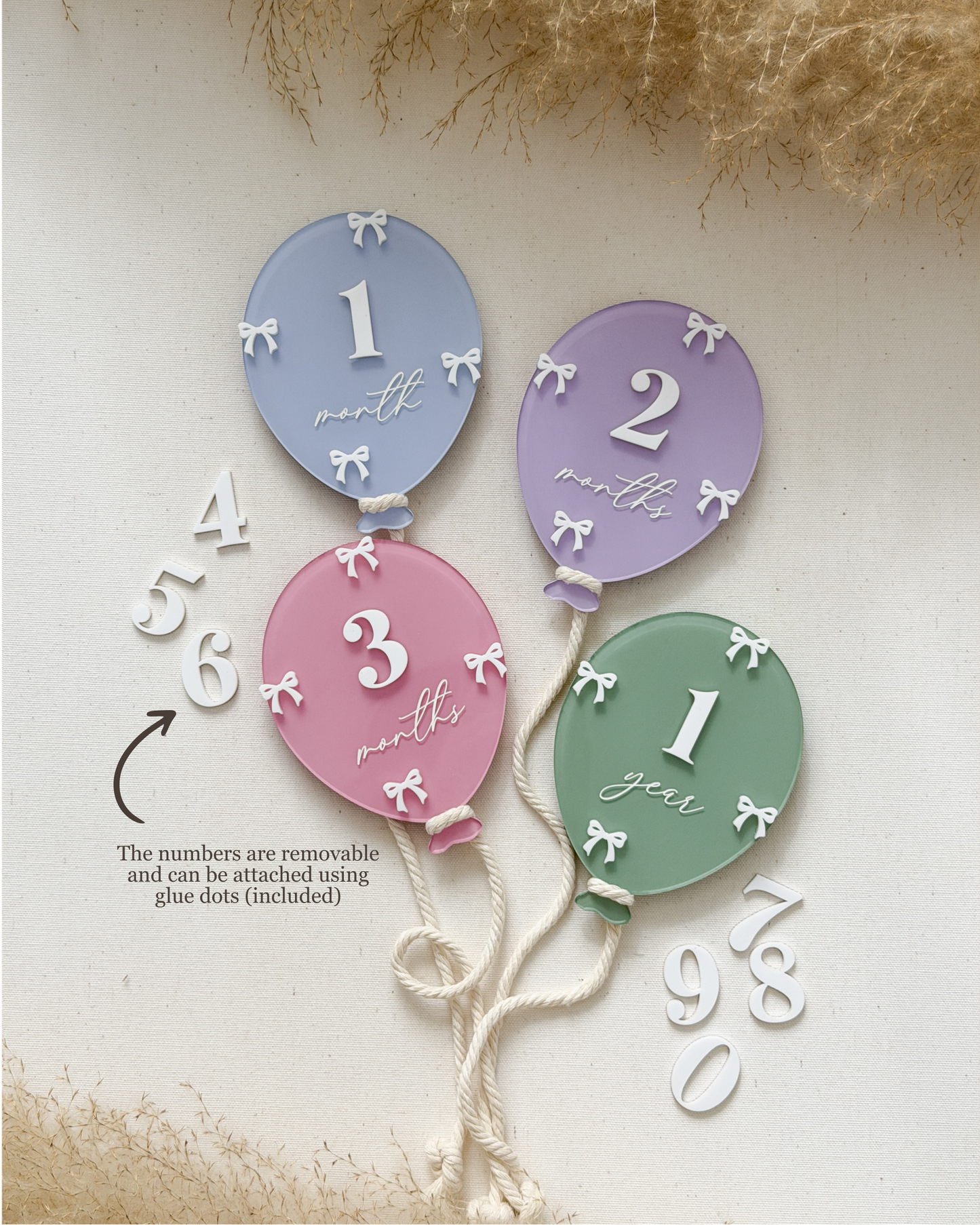 Balloon and Bows Milestone Set With Interchangeable Numbers