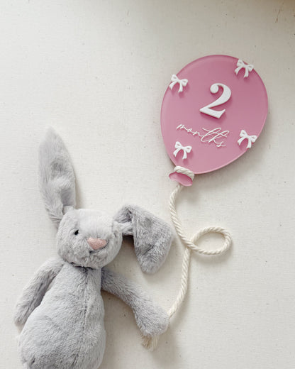 Balloon and Bows Milestone Set With Interchangeable Numbers