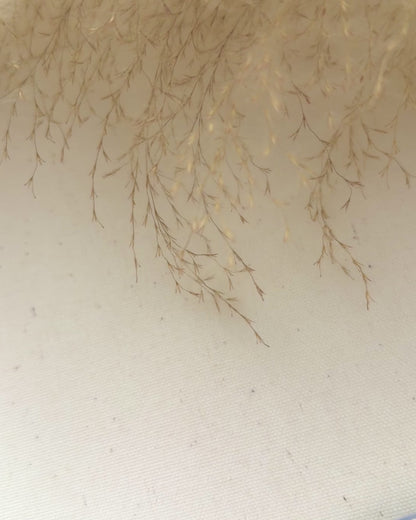 Balloon and Bows Milestone Set With Interchangeable Numbers