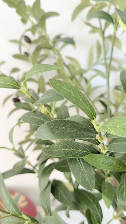 Chinese Family Name Sign